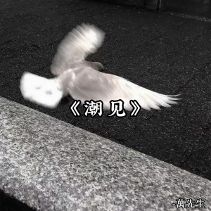 收聽萬先生的August (萬先生 Remix)歌詞歌曲