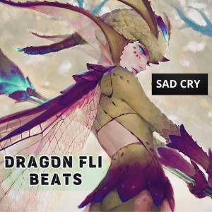 Album Sad Cry (feat. Alonestar) from Dragon Fli