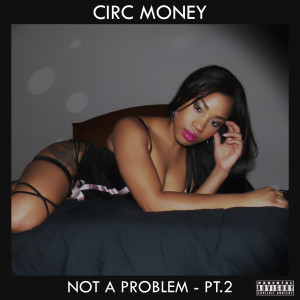 Album Not a Problem - Pt.2 (Explicit) from Circ Money