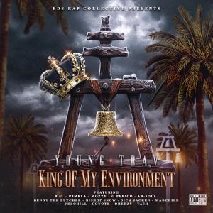 Young Trav的專輯King Of My Environment (Explicit)