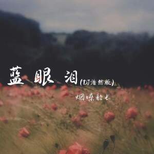 烟嗓船长的专辑蓝眼泪 (DJ浩然版)