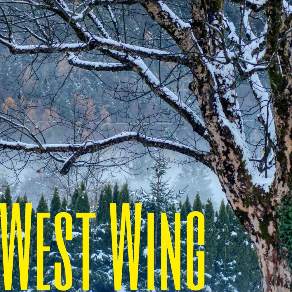 West Wing