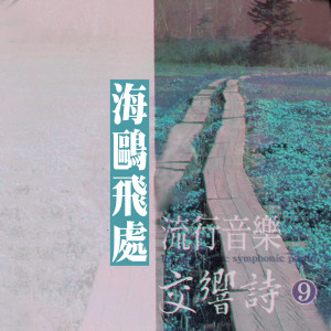 อัลบัม 海鸥飞处 (流行音乐交响诗9) ศิลปิน 杨灿明