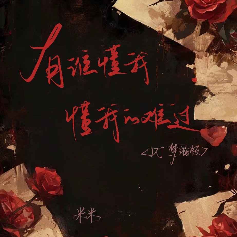 有谁懂我懂我的难过 (DJ梦游版伴奏)