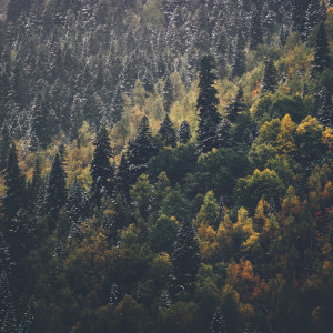 Album Relaxing Sleep Music from Yoga Flow