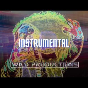 Wild Productions的專輯Printin Money