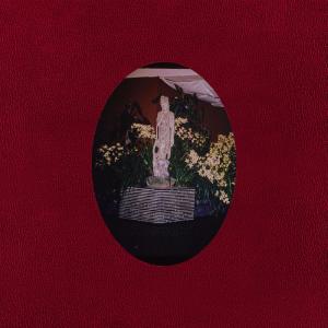 The Sleep Dealers的專輯against the howling winds