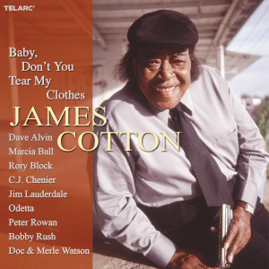 ดาวน์โหลดและฟังเพลง Rainin' In My Heart พร้อมเนื้อเพลงจาก James Cotton