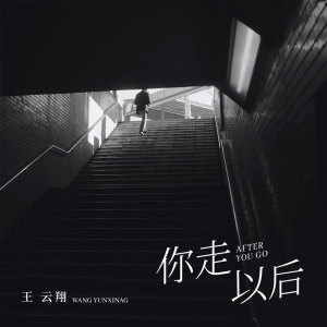 收聽王雲翔的你走以後 (伴奏)歌詞歌曲