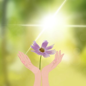 default album img