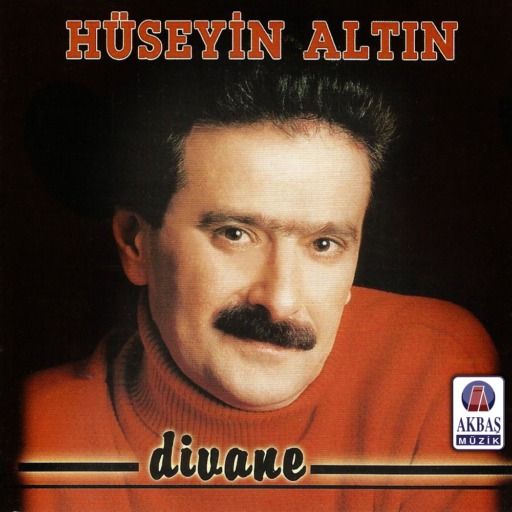 Deli Gibi Sevdim