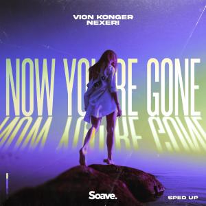 Album Now You're Gone (Sped Up) oleh Vion Konger