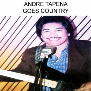 收聽André Tapena的Tennesse Waltz歌詞歌曲