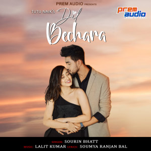 Album Dil Bechara from Sourin Bhatt