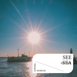 ดาวน์โหลดและฟังเพลง 바다보러갈래 (SEE SEA) (cover: 효린) (完整版) พร้อมเนื้อเพลงจาก 星诺一枝花