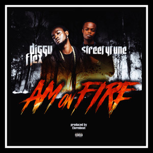 Listen to Am on Fire (School Bus Riddim) (Explicit) (School Bus Riddim|Explicit) song with lyrics from diGGy Flex
