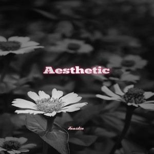 Listen to Aesthetic song with lyrics from Faustin