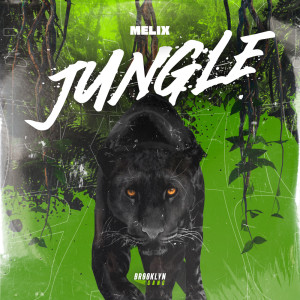 Melix的專輯Jungle