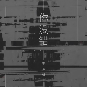 收听王泽科的你没错歌词歌曲