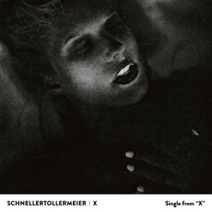 Dengarkan lagu X (Single Version) nyanyian Schnellertollermeier dengan lirik
