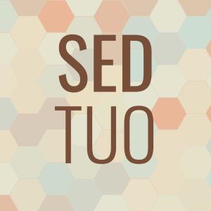 Album Sed Tuo oleh Various