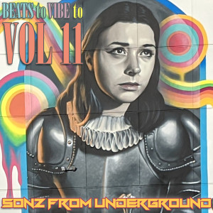Sonz From Underground的专辑Beats to Vibe to (Vol. 11)