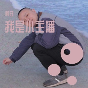 收聽阿甘的猴兒 (伴奏)歌詞歌曲