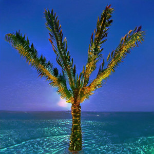 default playlist img