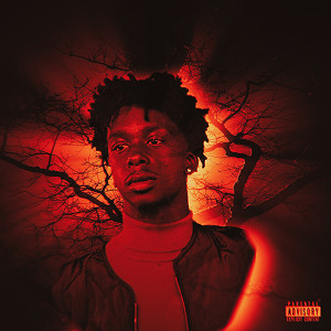 Listen to Come Home (Explicit) song with lyrics from Lil Noovie