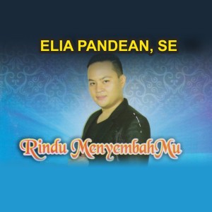 Elia Pandean的专辑Rindu MenyembahMu
