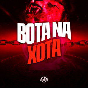 Album Bota Na Xota (Explicit) from Dj PHFive
