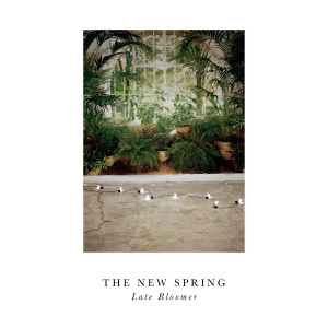 ดาวน์โหลดและฟังเพลง Song for Ana Mendieta พร้อมเนื้อเพลงจาก The New Spring