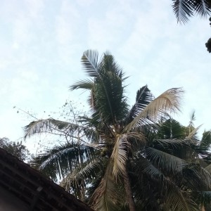 收听Listiana的Kejamnya dunia歌词歌曲