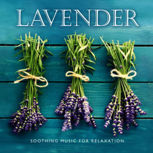 Tom Ameen的專輯Lavender