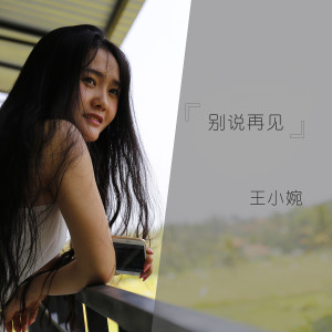 收听王小婉的别说再见歌词歌曲