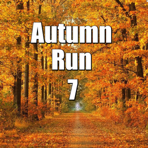 Various Artists的專輯Autumn Run, Vol.7