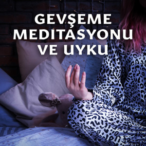 Listen to Stres için Sakin Ninni song with lyrics from Gevşeme Meditasyon Akademisi