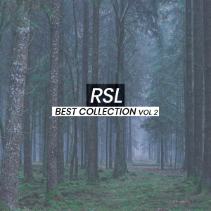 收聽RSL的On My Own歌詞歌曲