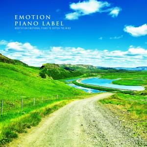 อัลบัม Meditation Emotional Piano To Soften The Mind ศิลปิน Various Artists