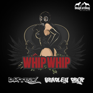Listen to Whip Whip song with lyrics from Bradley Drop