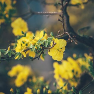 收听HEY HUN的You Look Beautiful Today歌词歌曲