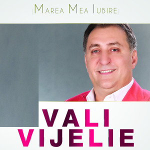 Listen to Marea Mea Iubire (feat. Asu') song with lyrics from Vali Vijelie