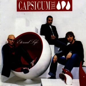 ดาวน์โหลดและฟังเพลง Eleanor rigby พร้อมเนื้อเพลงจาก Capsicum Tree