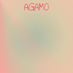 Listen to Agamo song with lyrics from Adangbe Rhythm Band