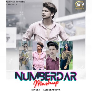 Listen to Numberdar Mashup song with lyrics from Haiderpuriya