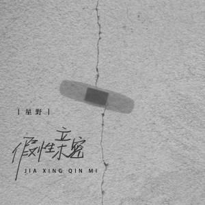 อัลบัม 假性亲密 ศิลปิน 星野