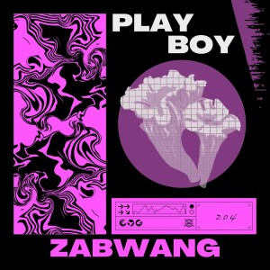 Listen to PlayBoy (完整版) song with lyrics from 王金水ZabWang