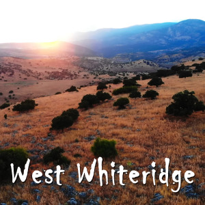 Album West Whiteridge from 