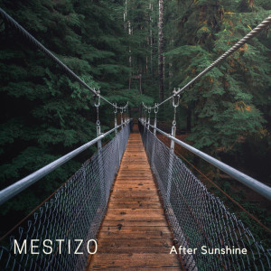 Listen to Rest Now, It's Raining song with lyrics from Mestizo
