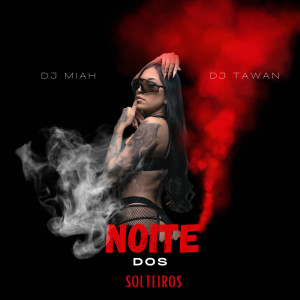 Album Noite dos Solteiros (Explicit) from DJ Miah